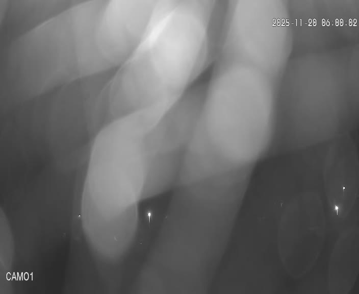 Meteo kamera obec Velčice